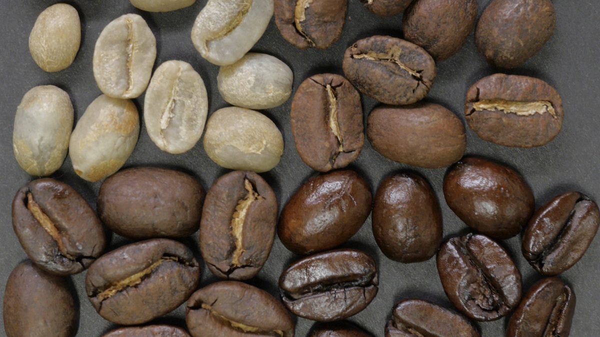 Which Coffee Is Healthier: Light vs Dark Roast?