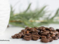 Coffee beans spilled on white with rosemary leaves in the background